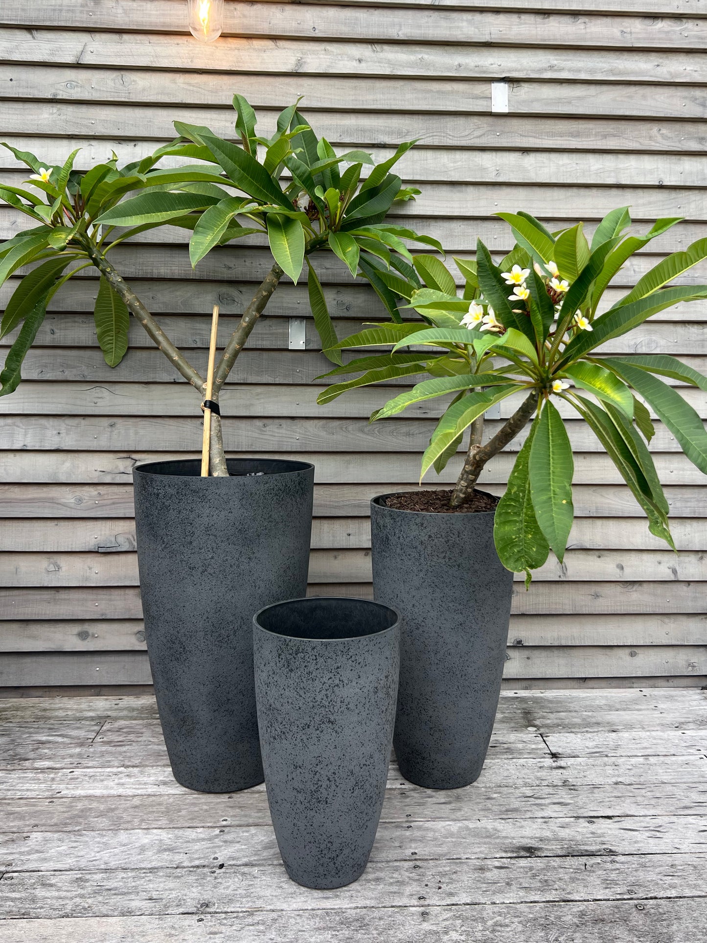 Nova Vase 'Grey' Medium