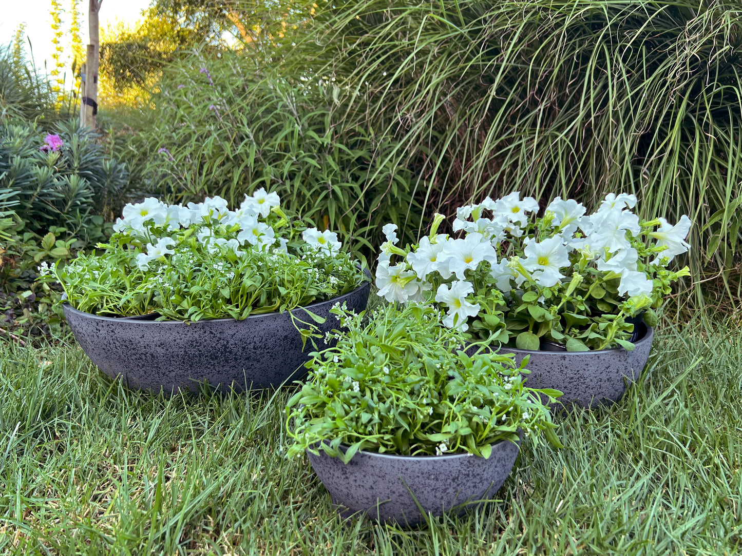 Nova Bowl 'Grey' Large