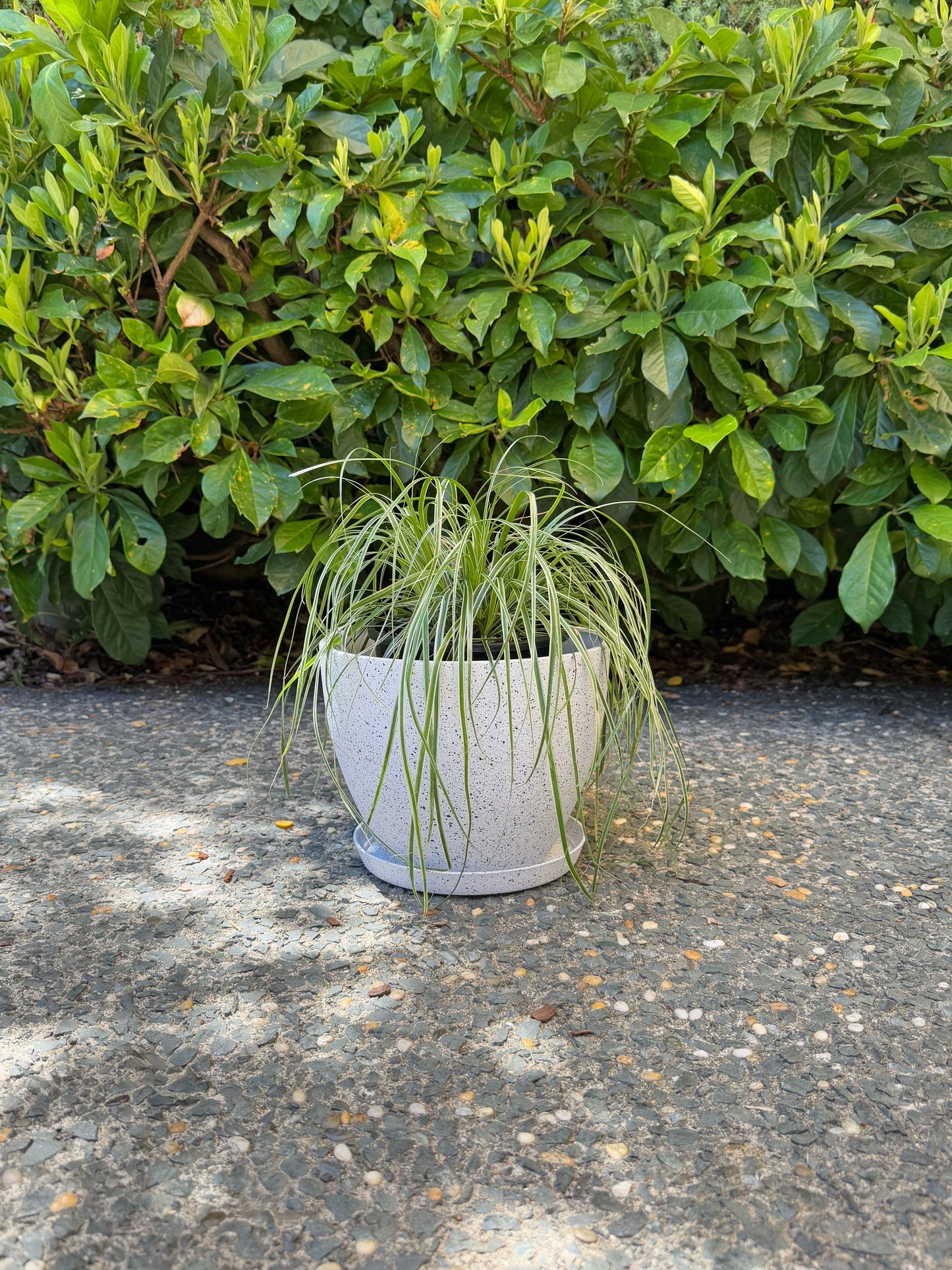 Nova Pot Small 22x17cm White