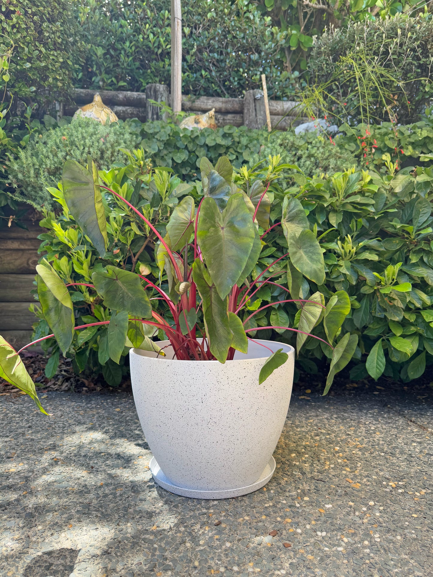 Nova Pot Large 36x27cm White