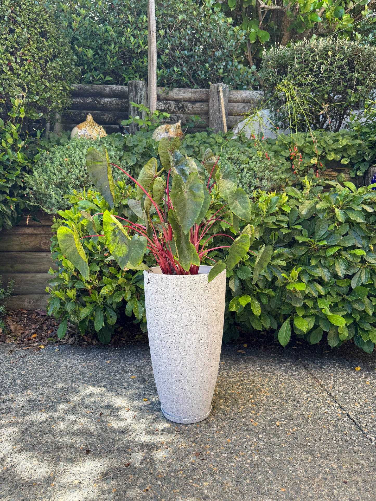 Nova Vase Small 29x50cm White