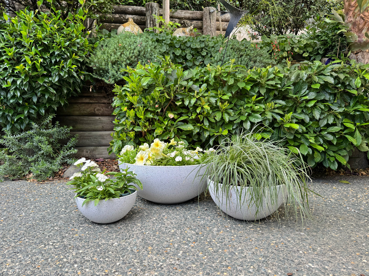 Nova Bowl 'White' Medium