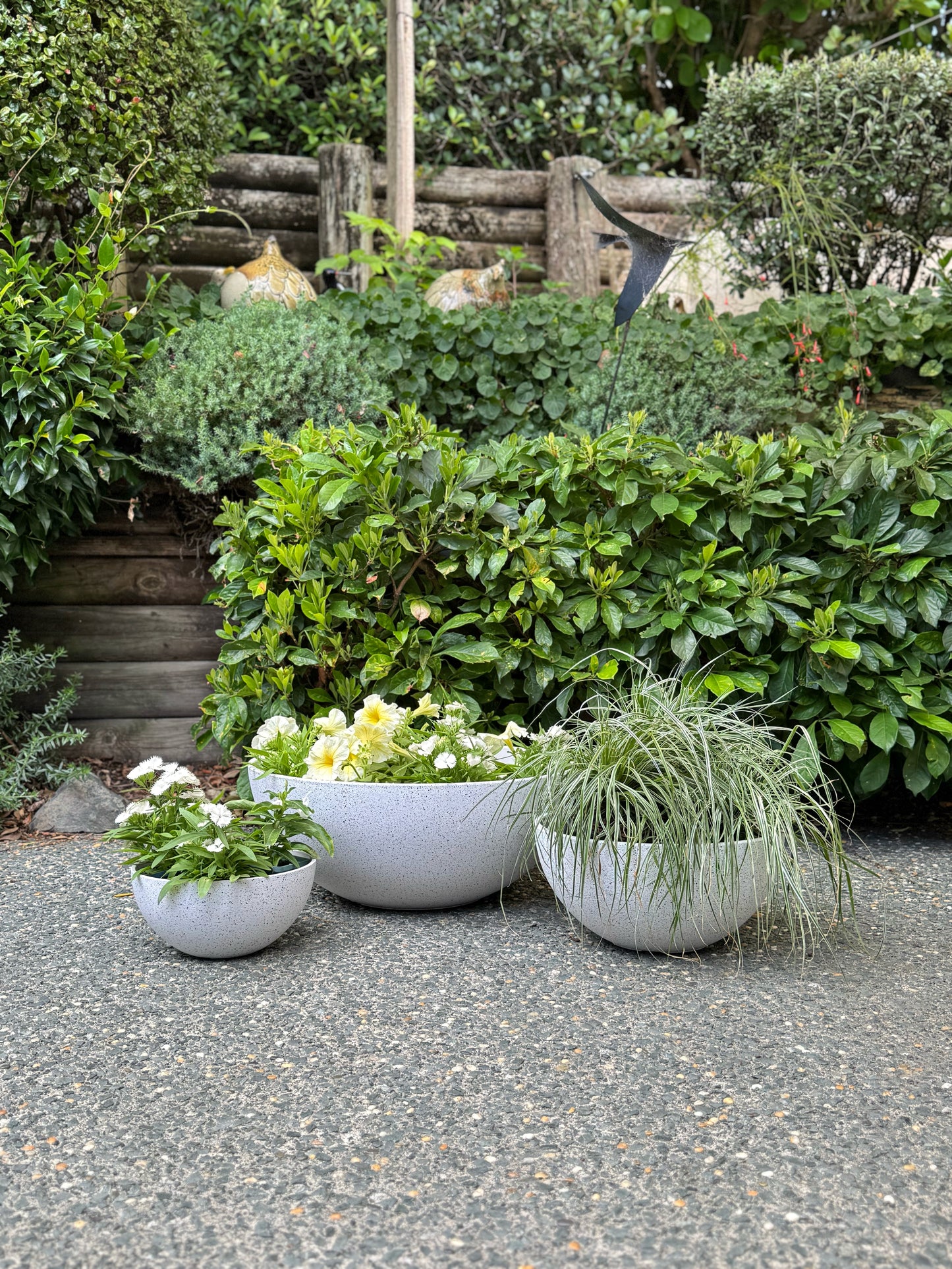 Nova Bowl 'White' Medium