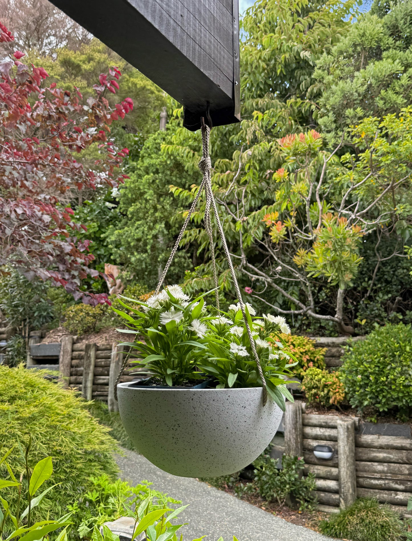 Nova Hanging Pot 'White' Small