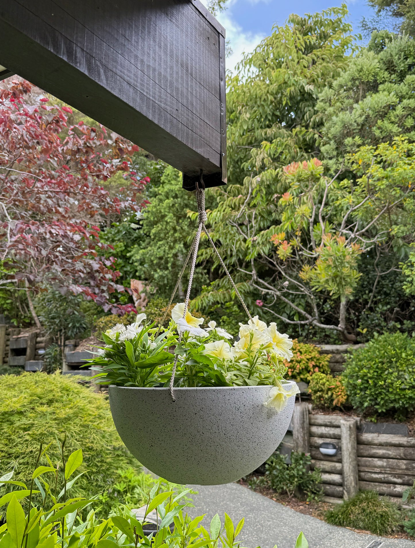Nova Hanging Pot 'White' Large