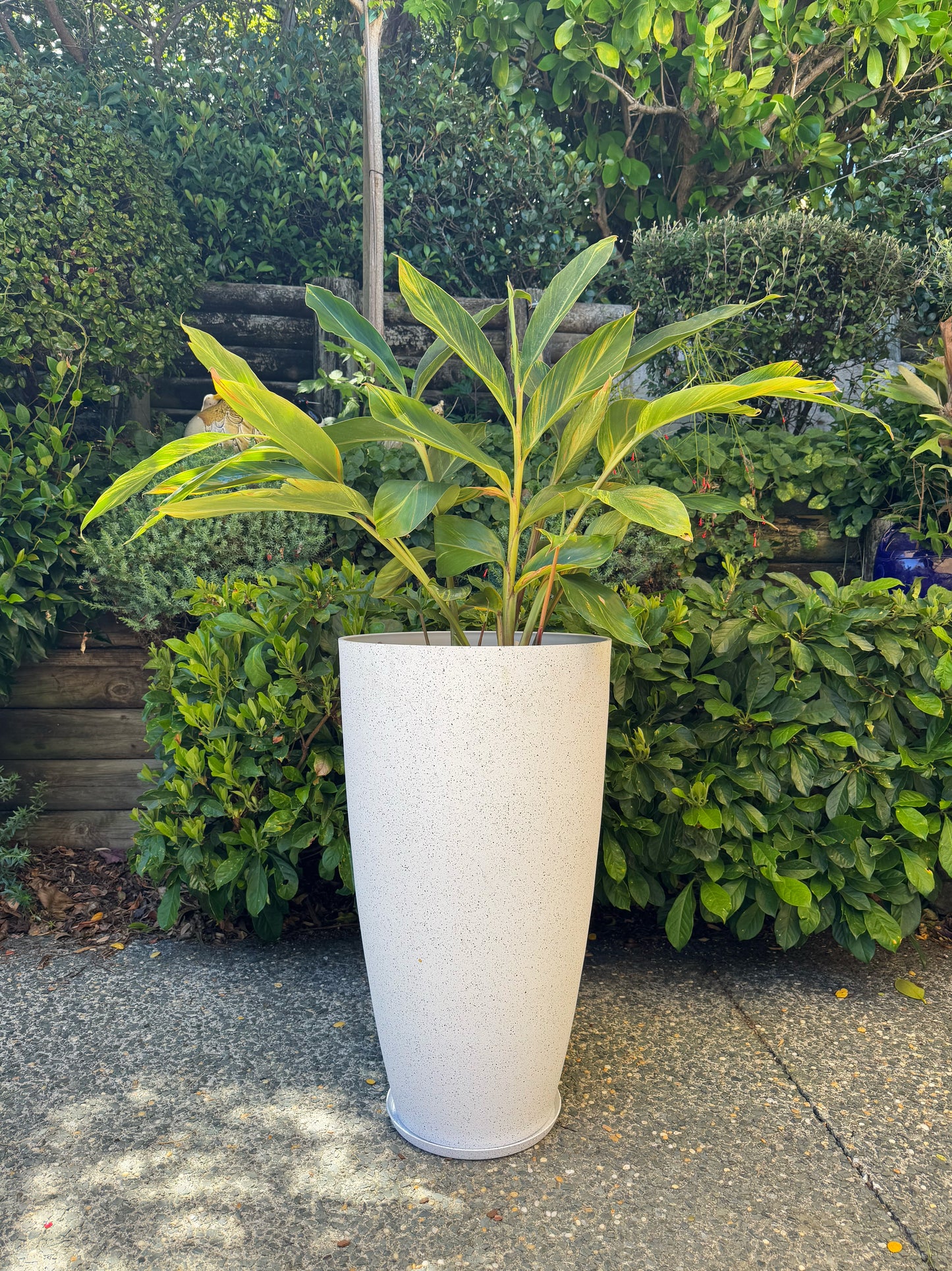 Nova Vase Large 43x75cm White