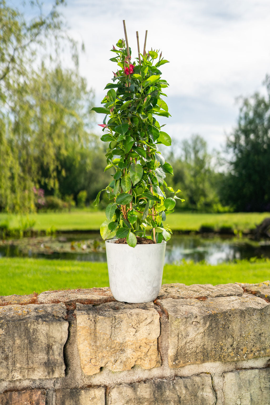 Palermo Pot Large 22x23cm Marble White