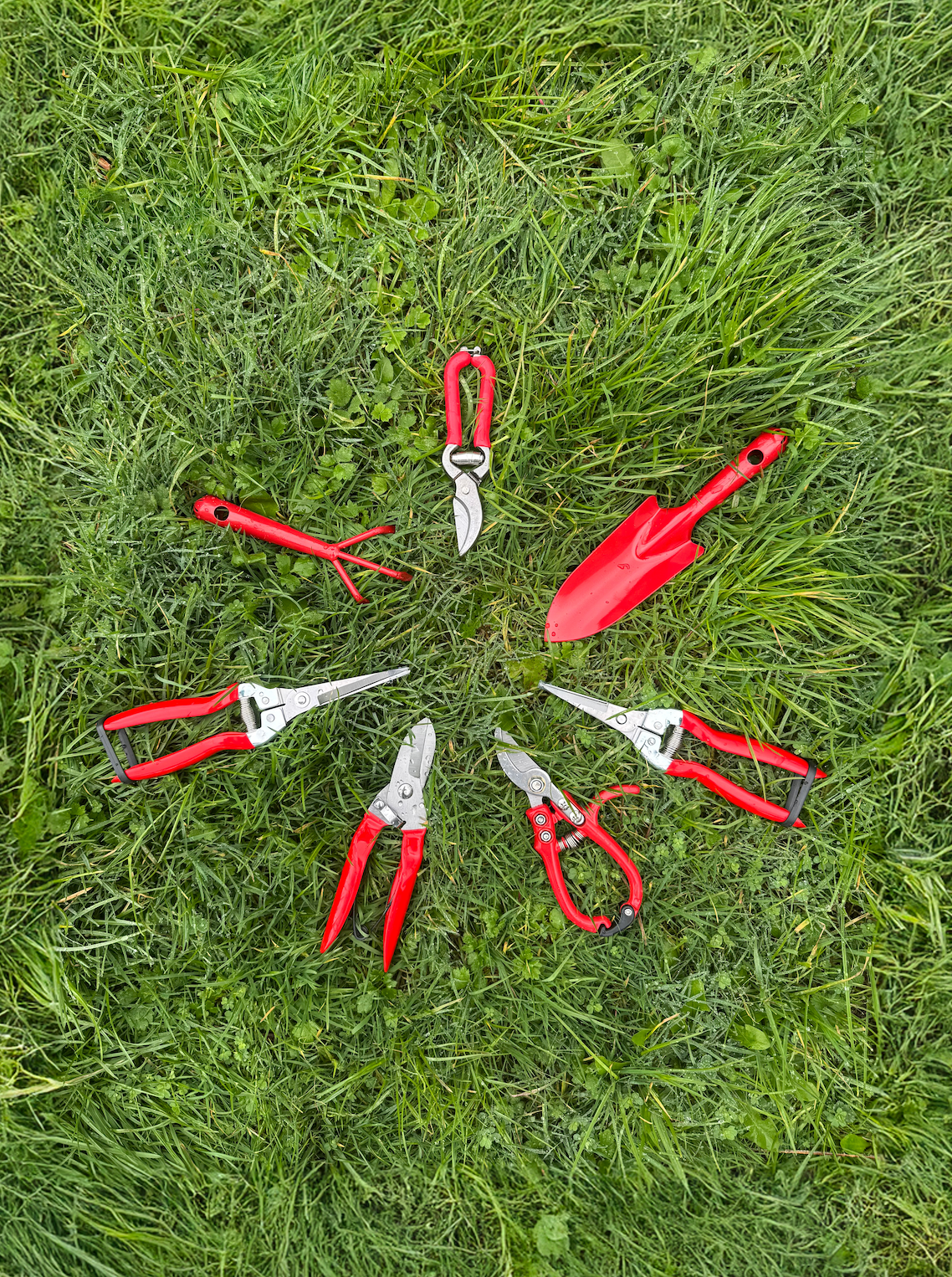 Pruner with Red Handle