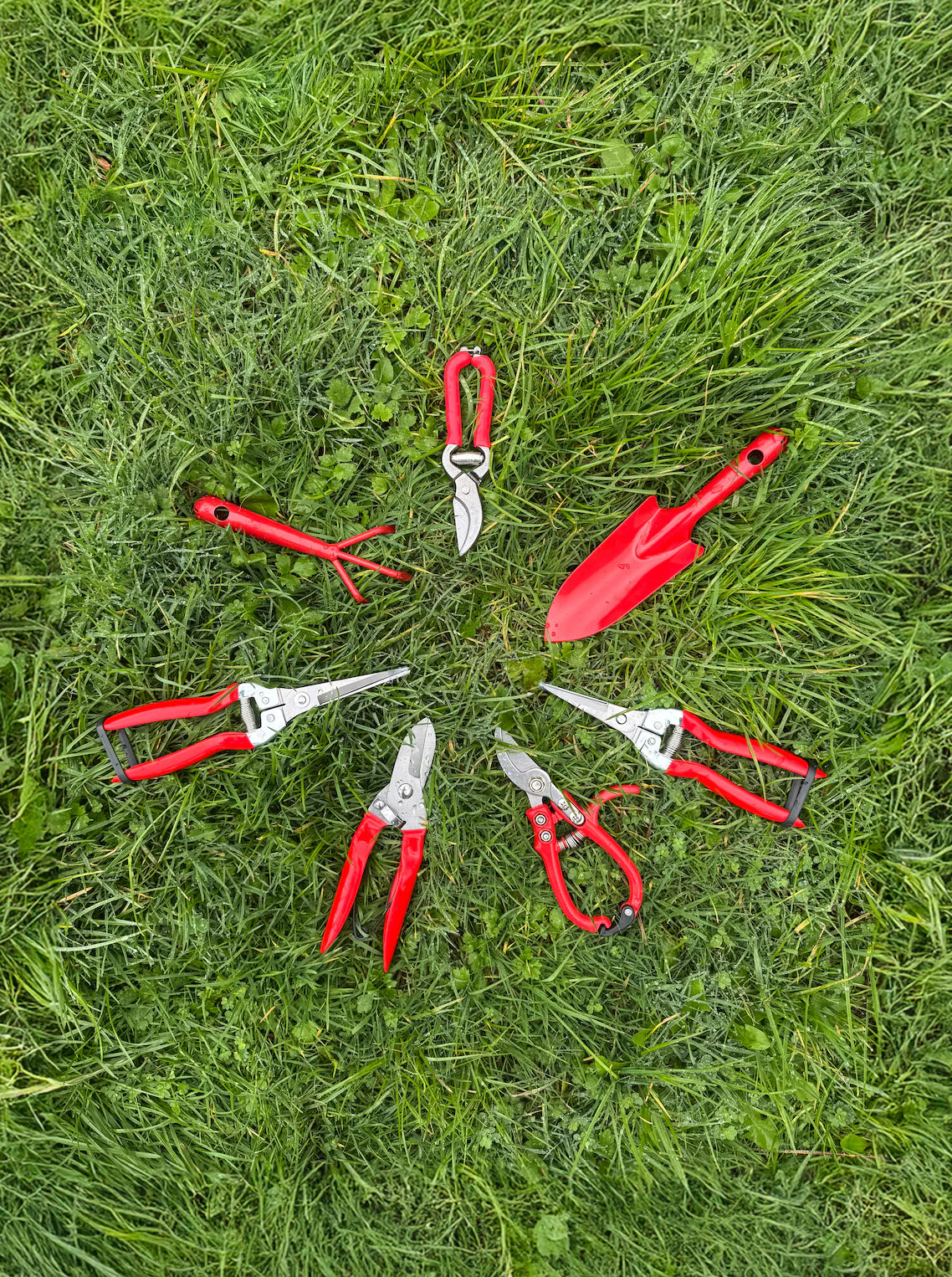 Rose Pruner Stainless Steel with Red Handle
