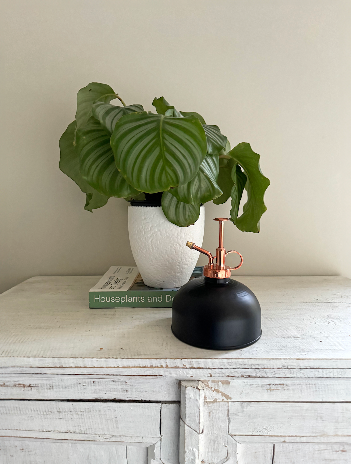 Plant Mister Black/Copper