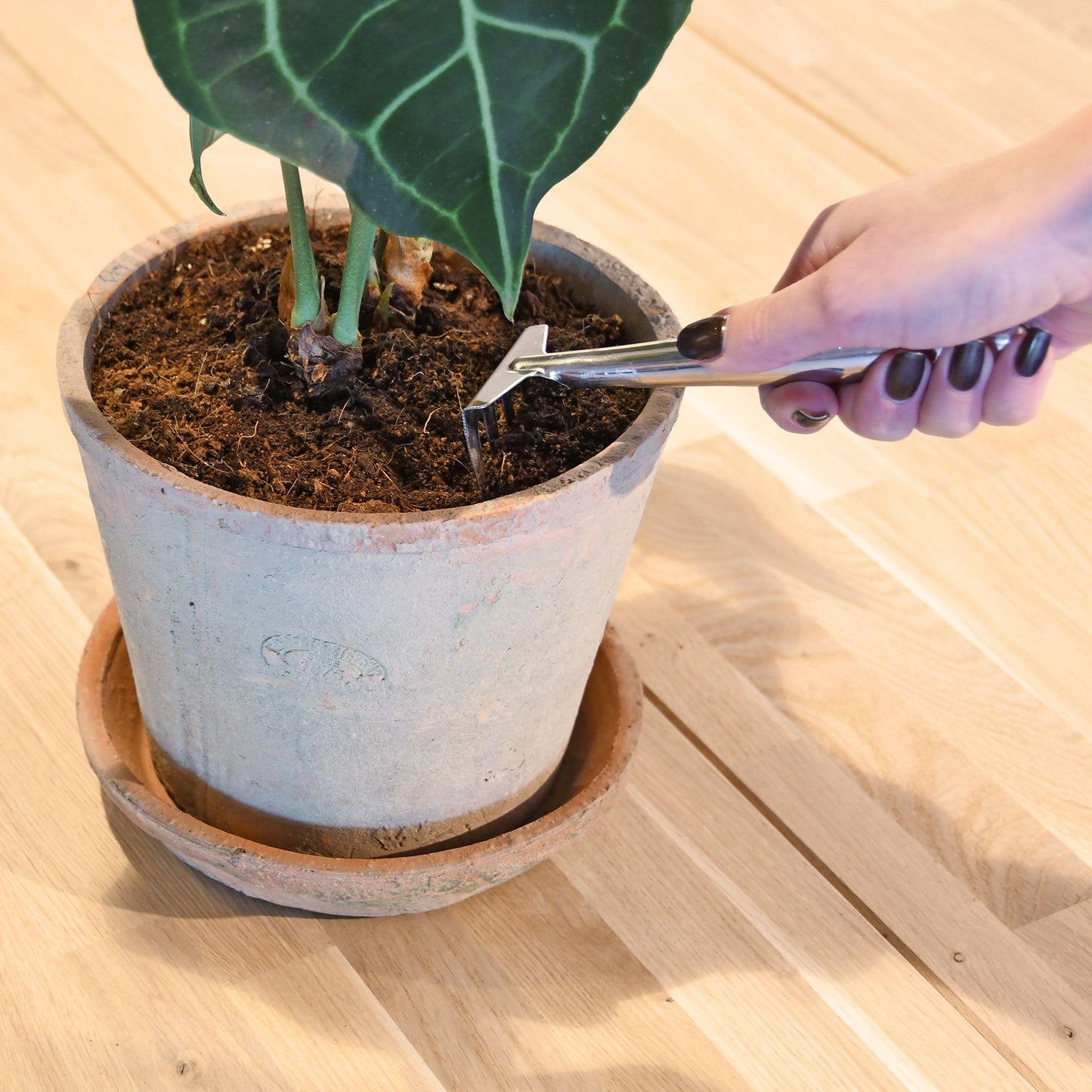 Indoor Garden Shovel