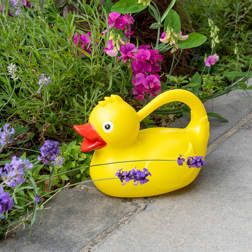 Watering Can Yellow Duck