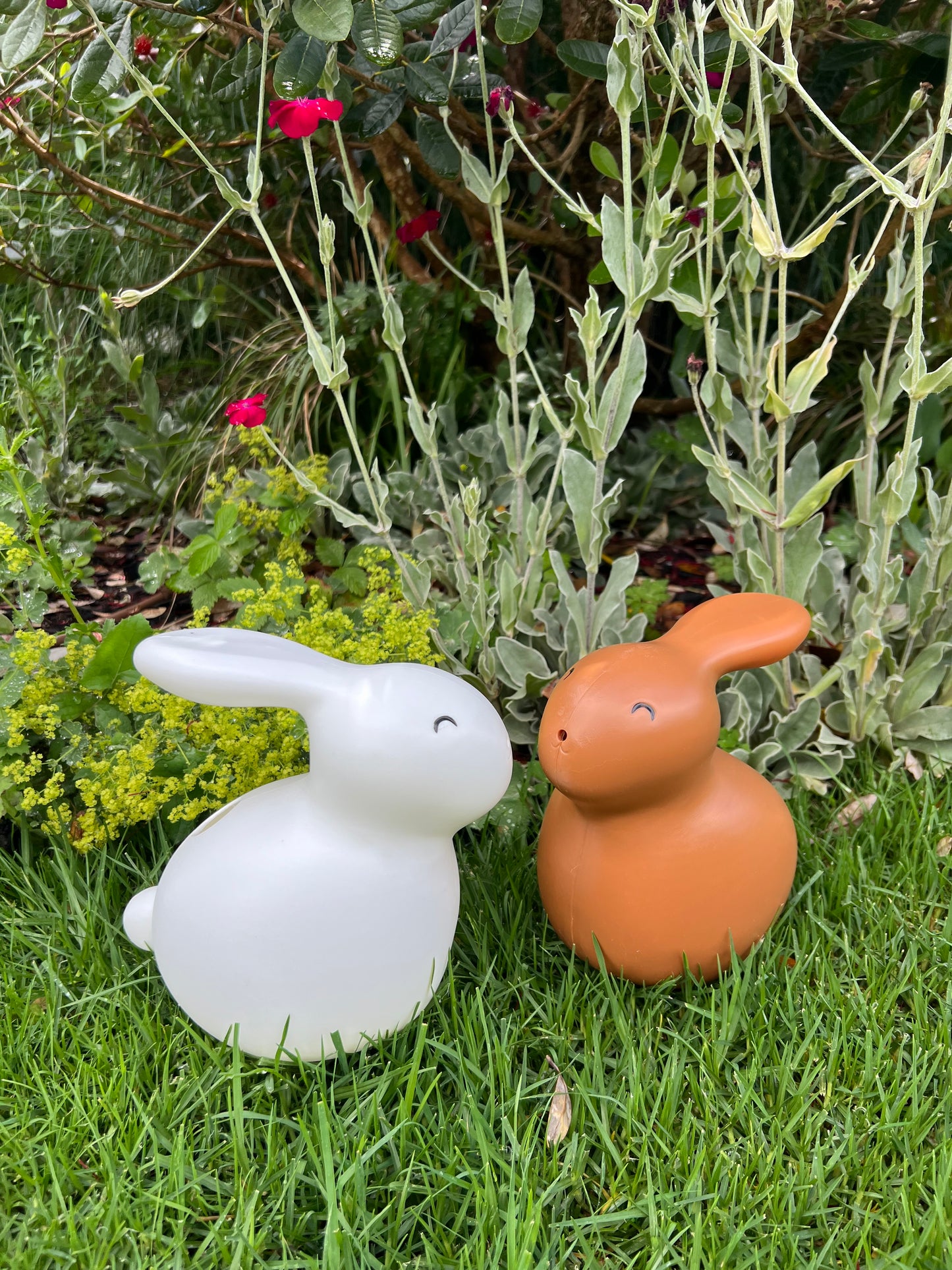 Rabbit Watering Can White