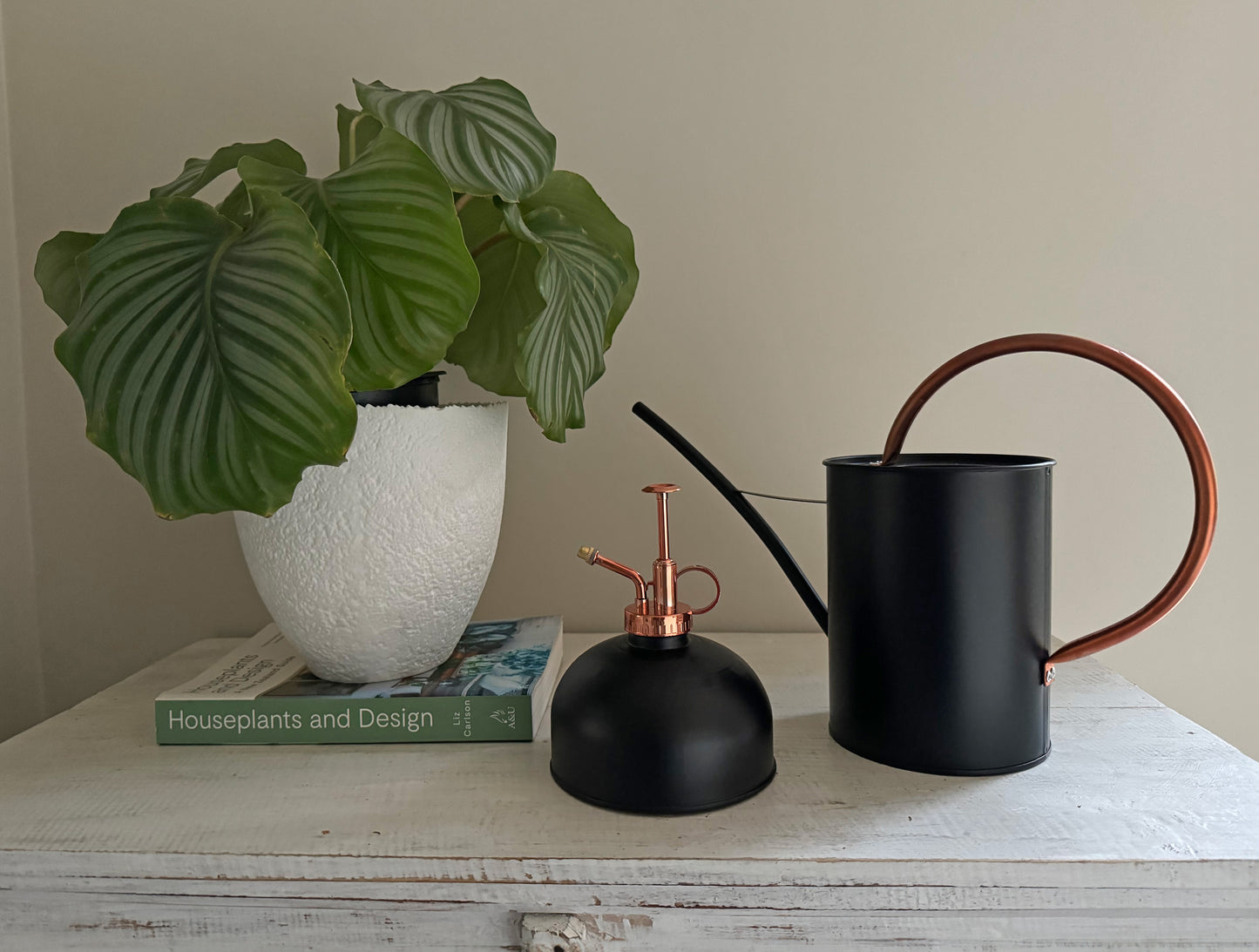 Plant Mister Black/Copper