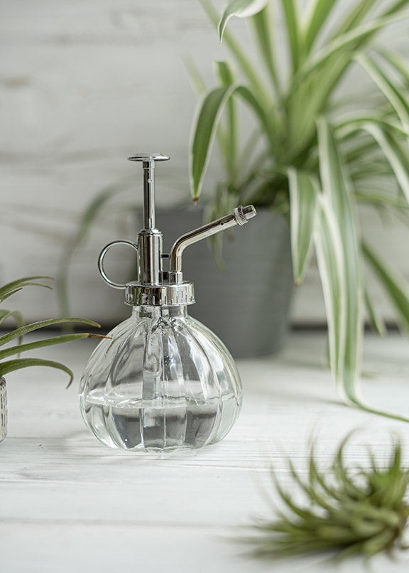 Plant Mister Clear