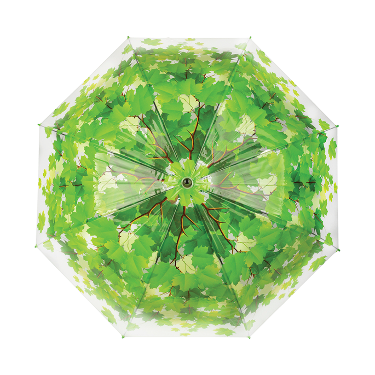 Umbrella Tree