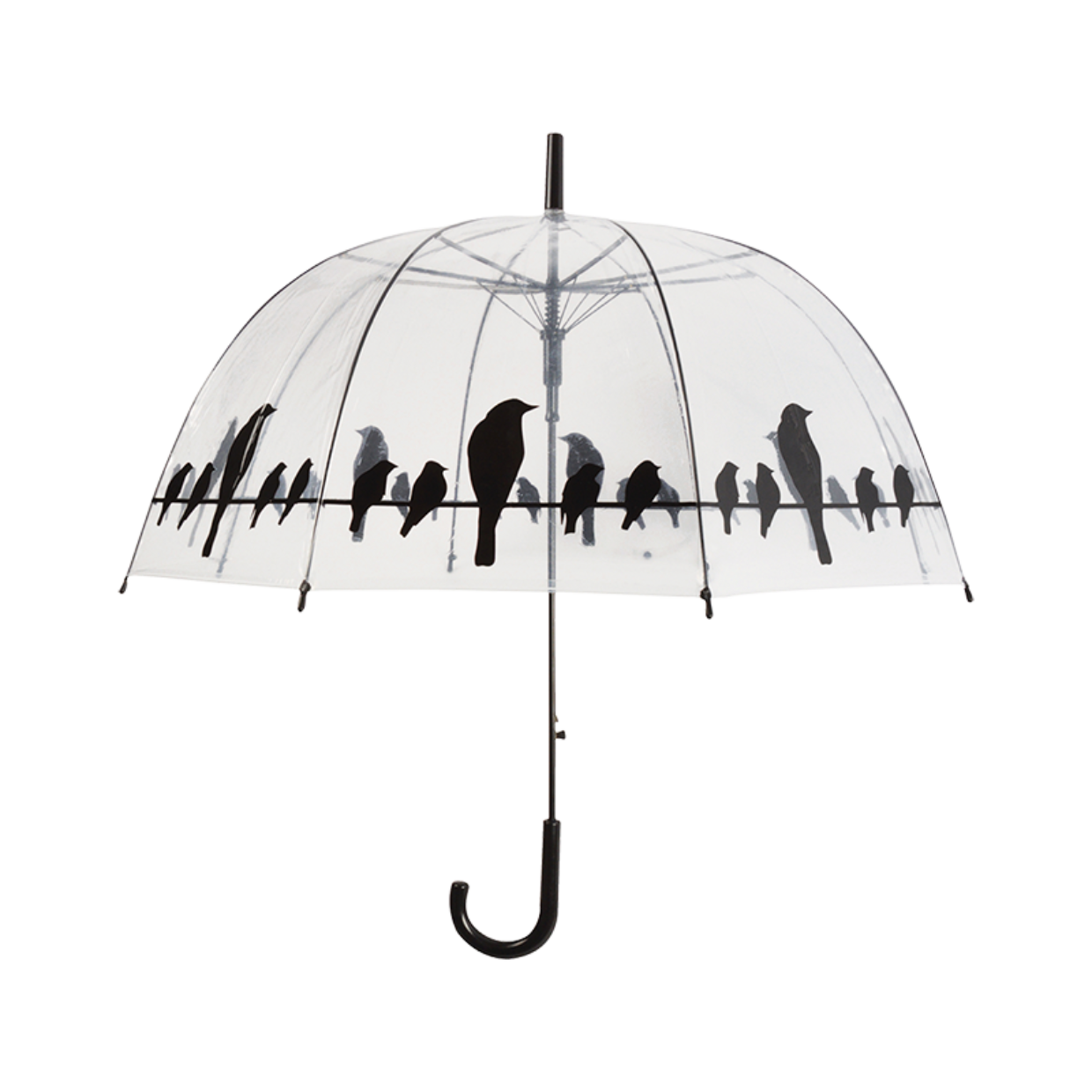 Umbrella Birds on a Wire