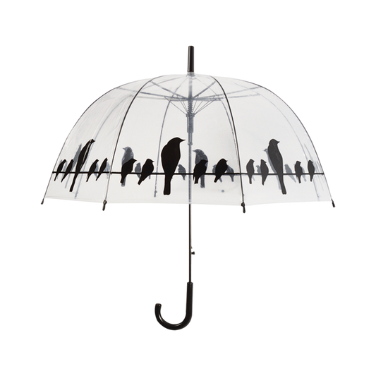 Umbrella Birds on a Wire