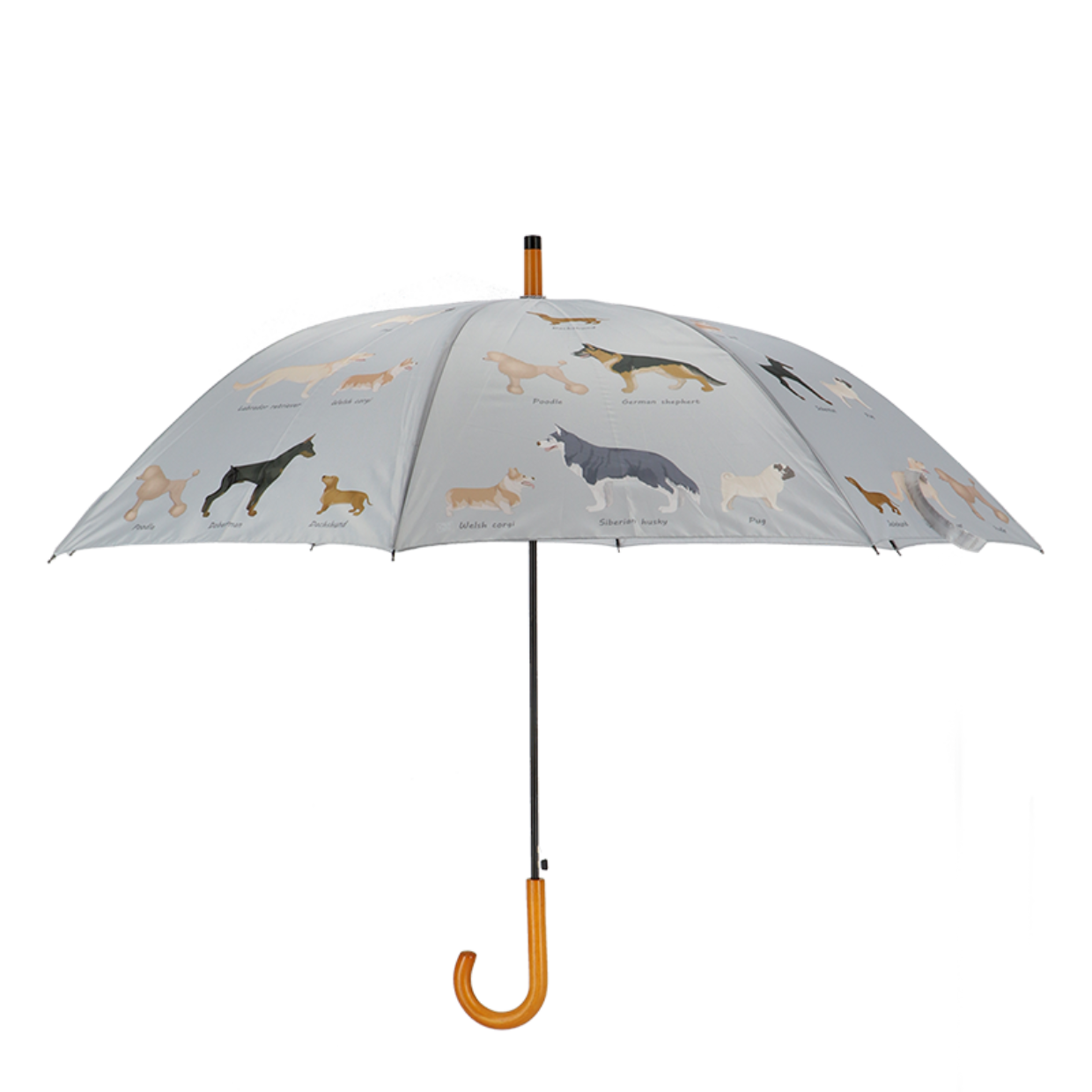 Umbrella Dog Breeds