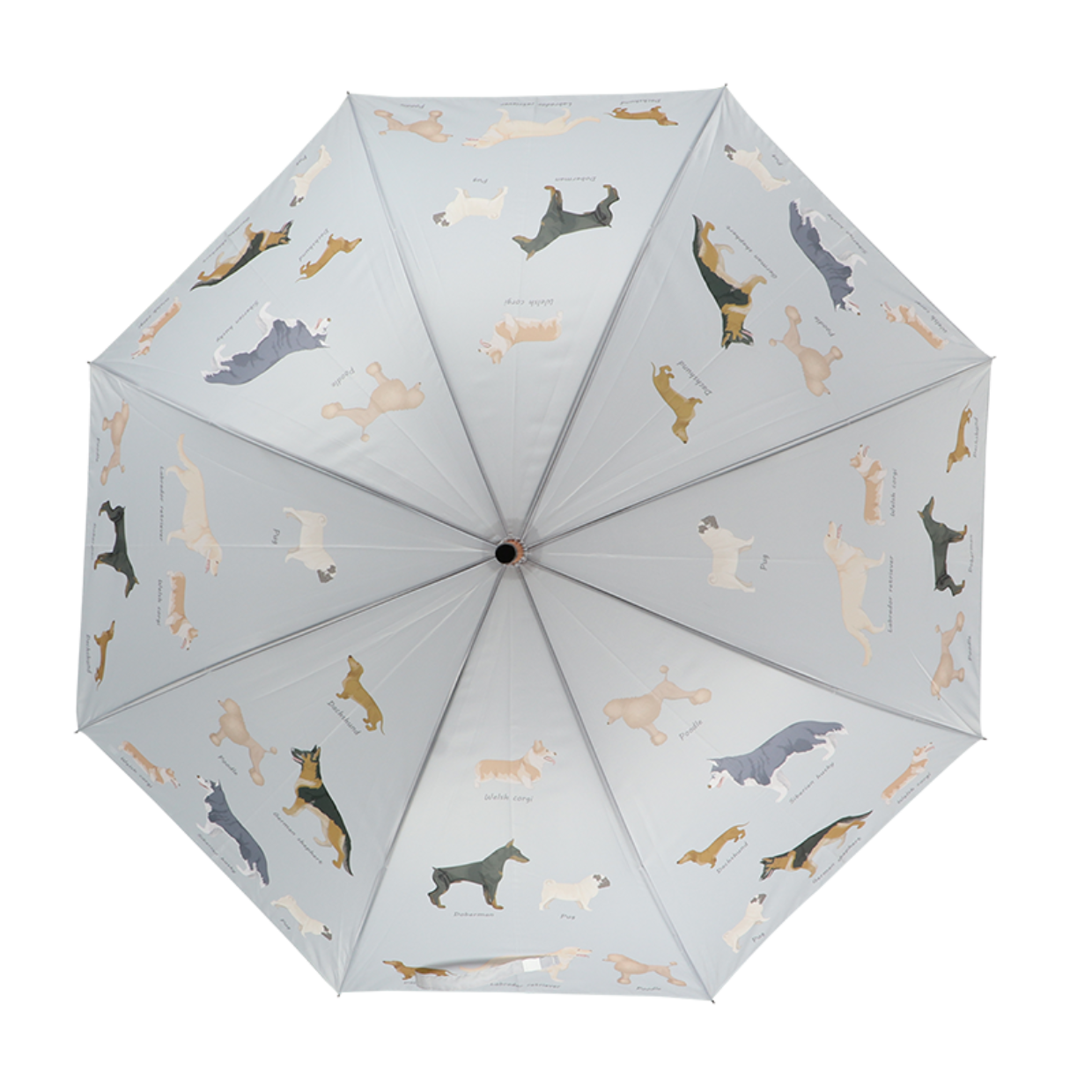 Umbrella Dog Breeds
