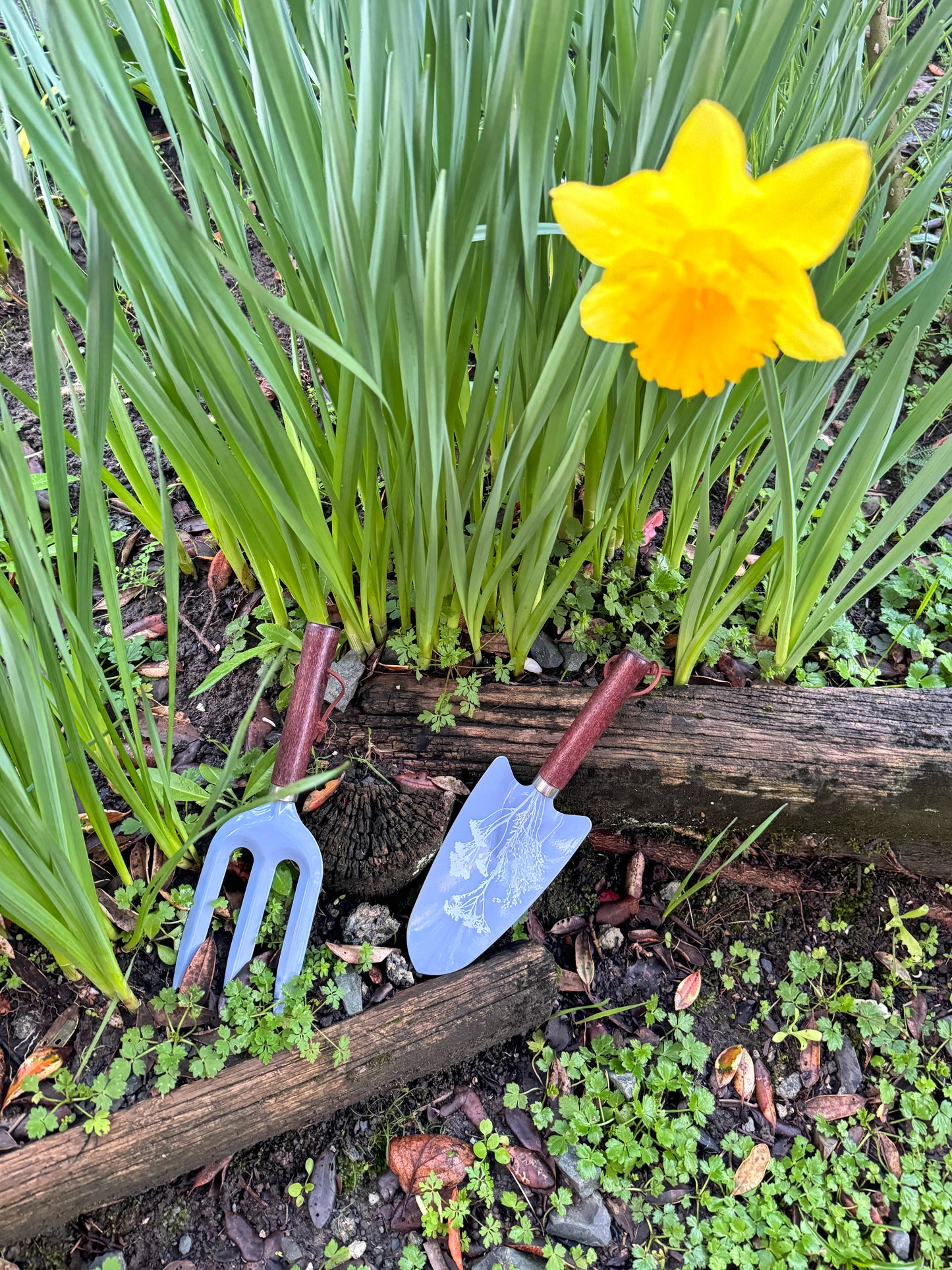 Wild Flower Tool Gift Set Purple