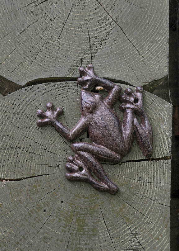 Cast Iron Frog Wall Decoration 2
