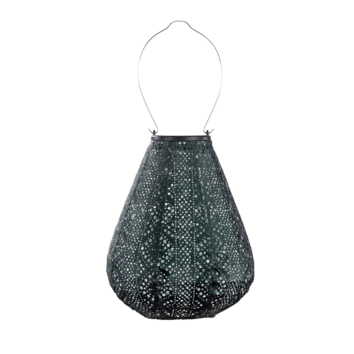 Lantern Tulip 20cm Green Lace