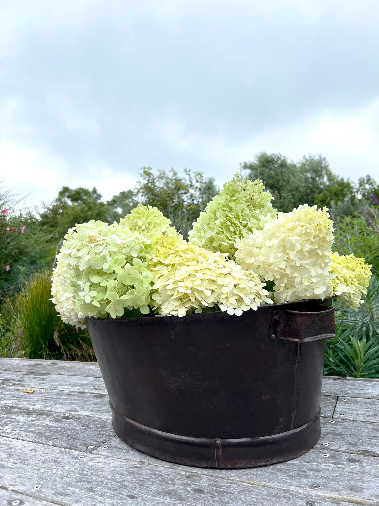 Advika Vintage Party Bucket