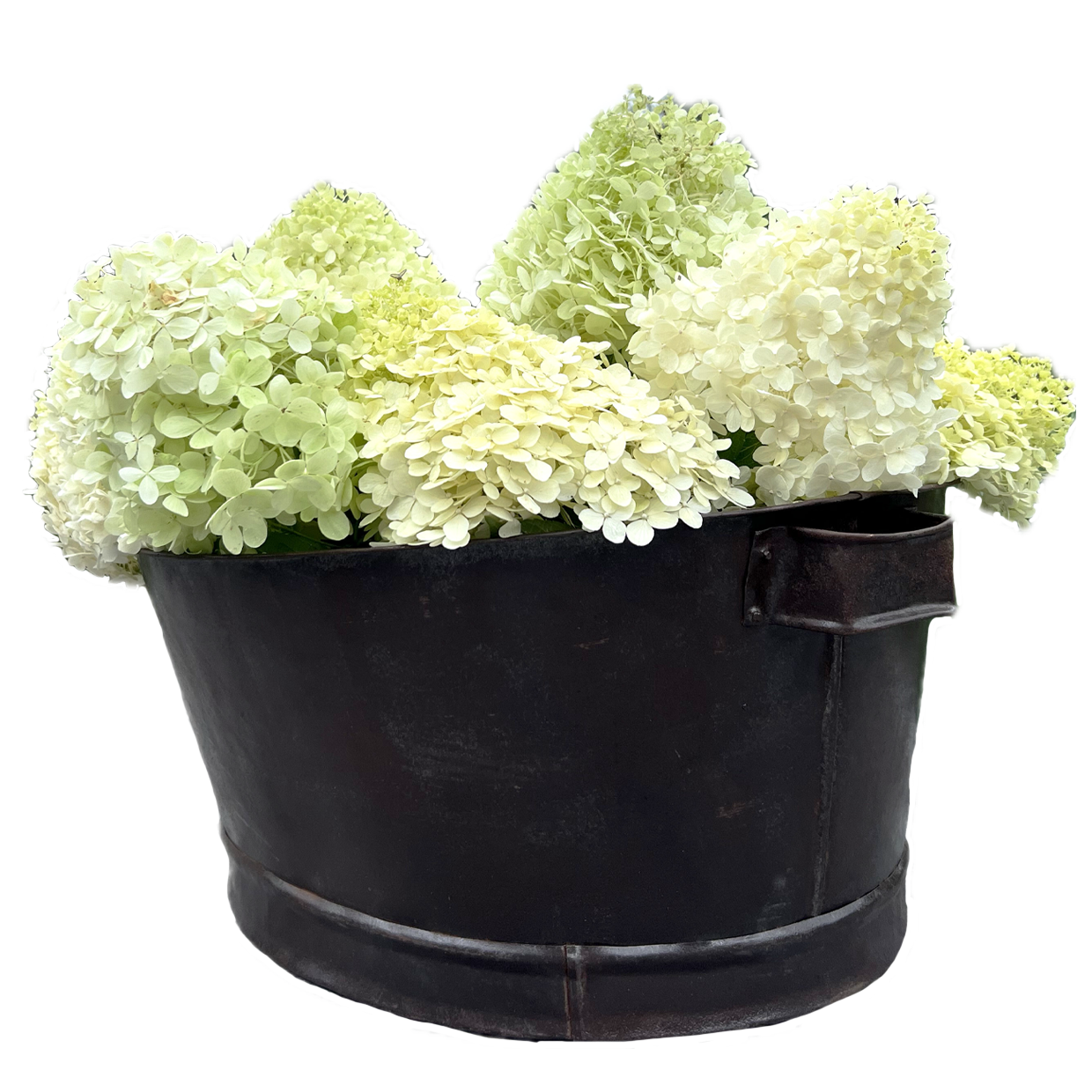 Advika Vintage Party Bucket