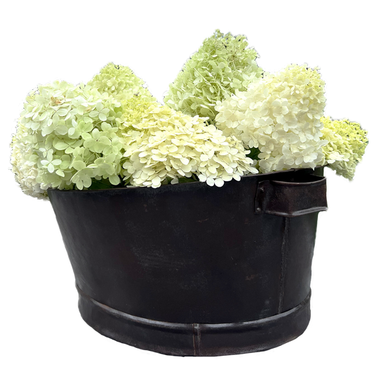 Advika Vintage Party Bucket