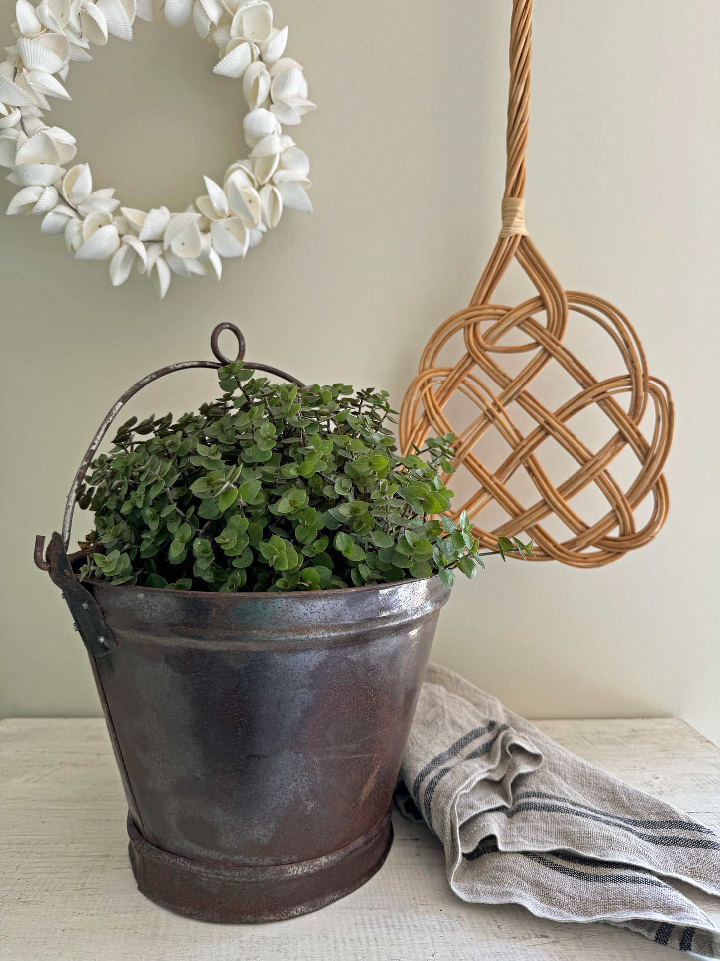 Advika Vintage Bucket/Planter