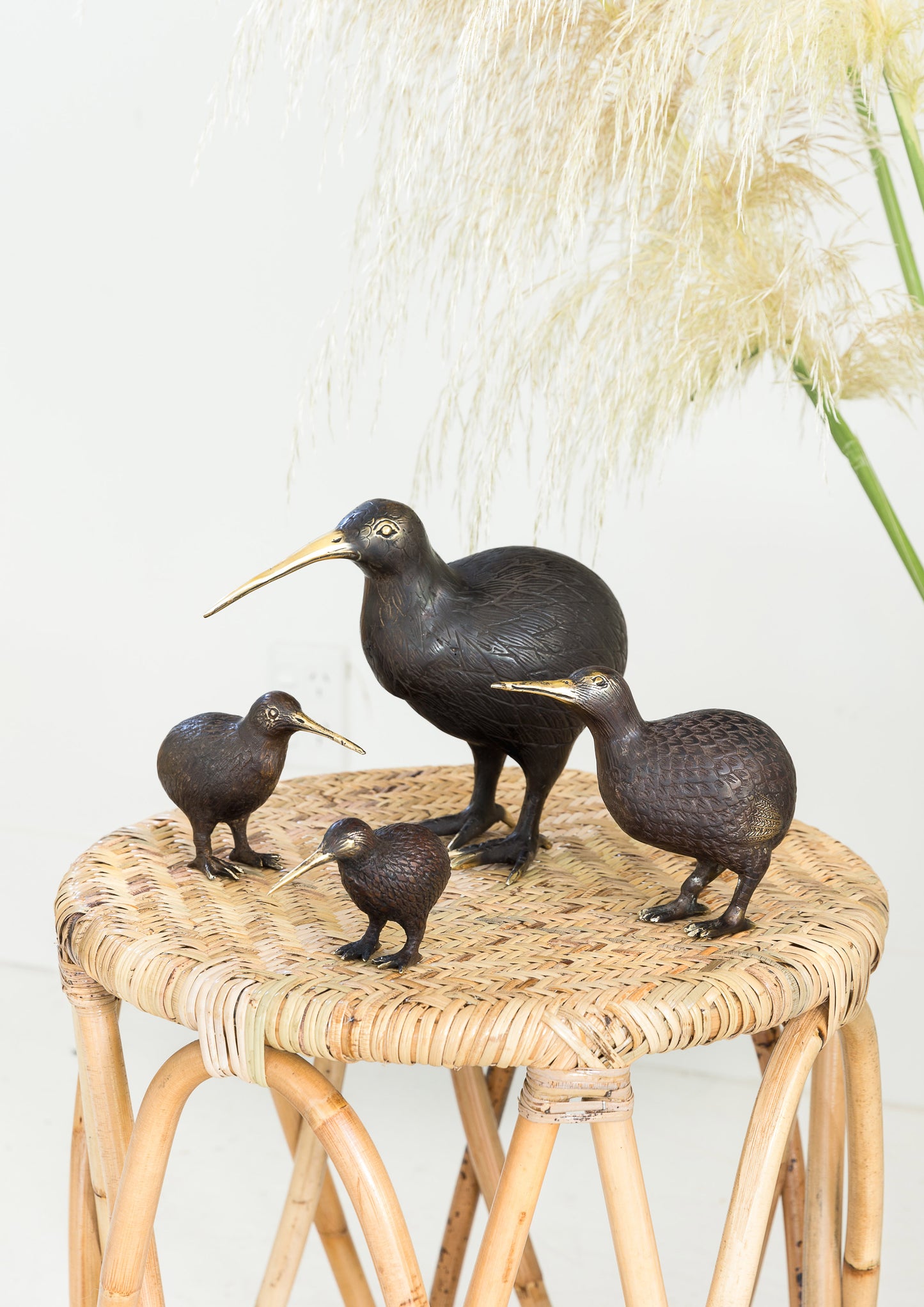 Brass Kiwi X-Small 7x5x5cm