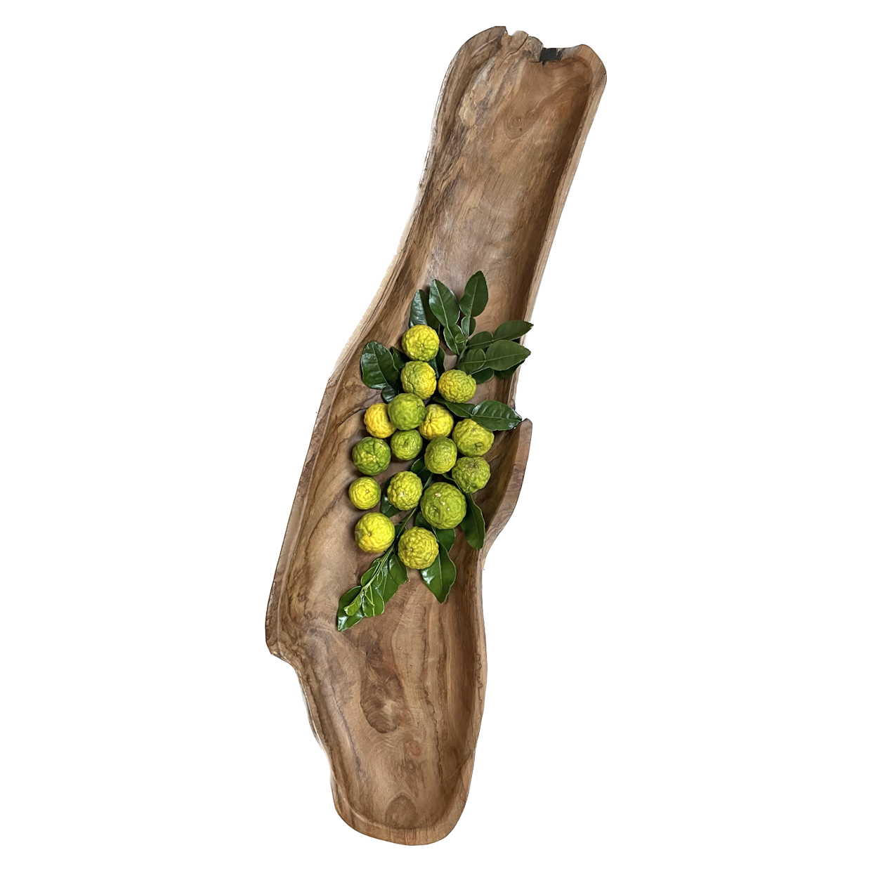 Teak Organic Long Bowl 100cm