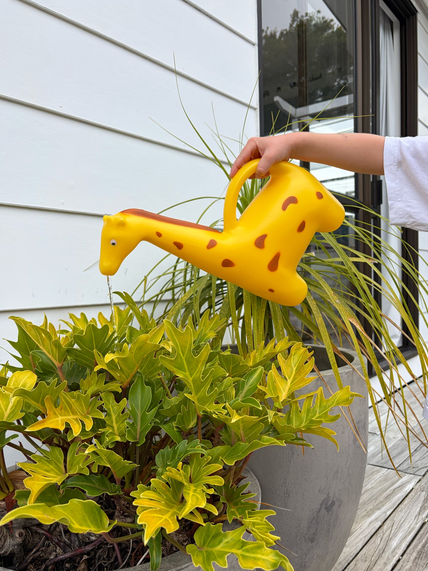 Watering Can Giraffe
