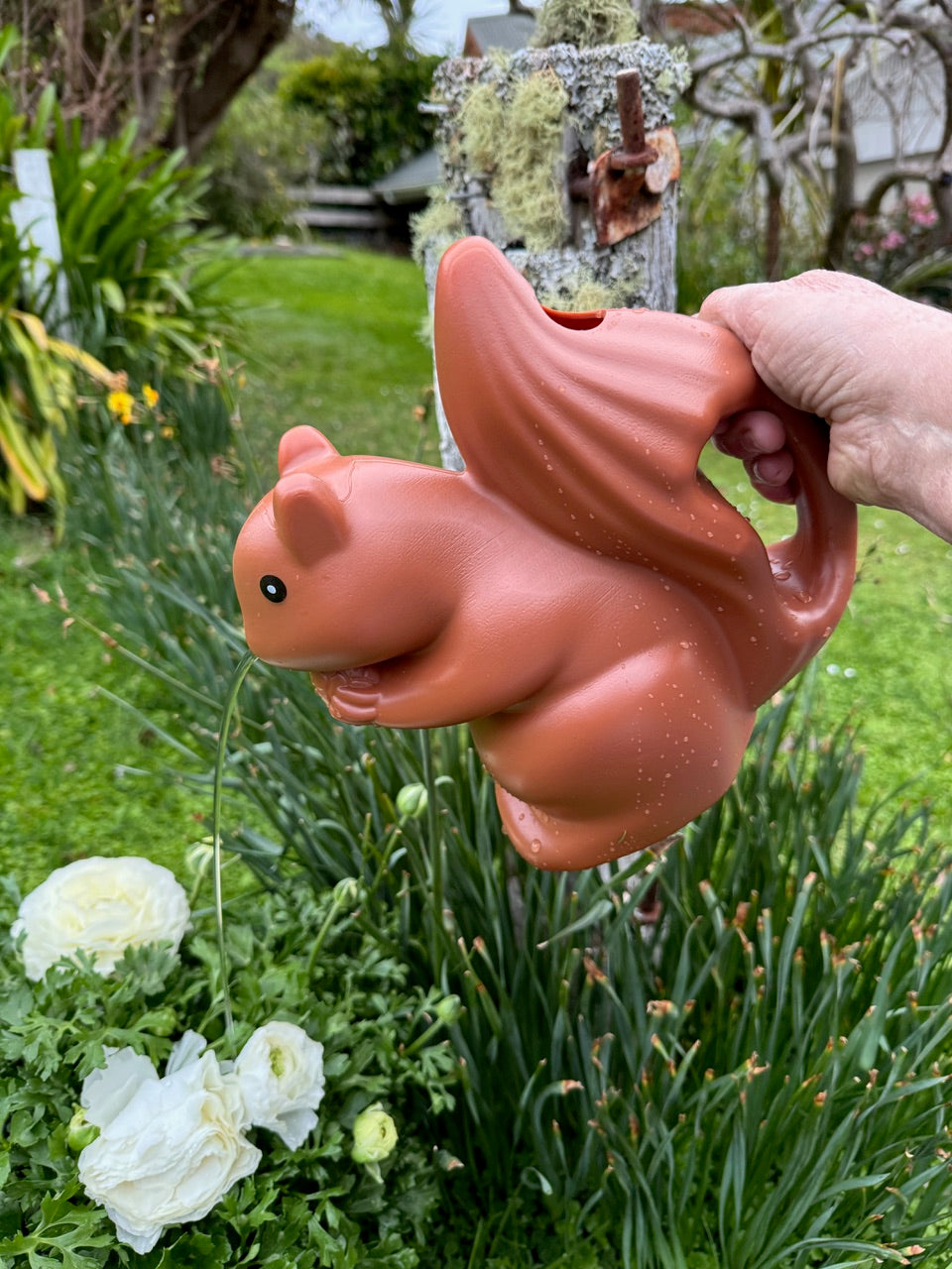 Watering Can Squirrel Brown