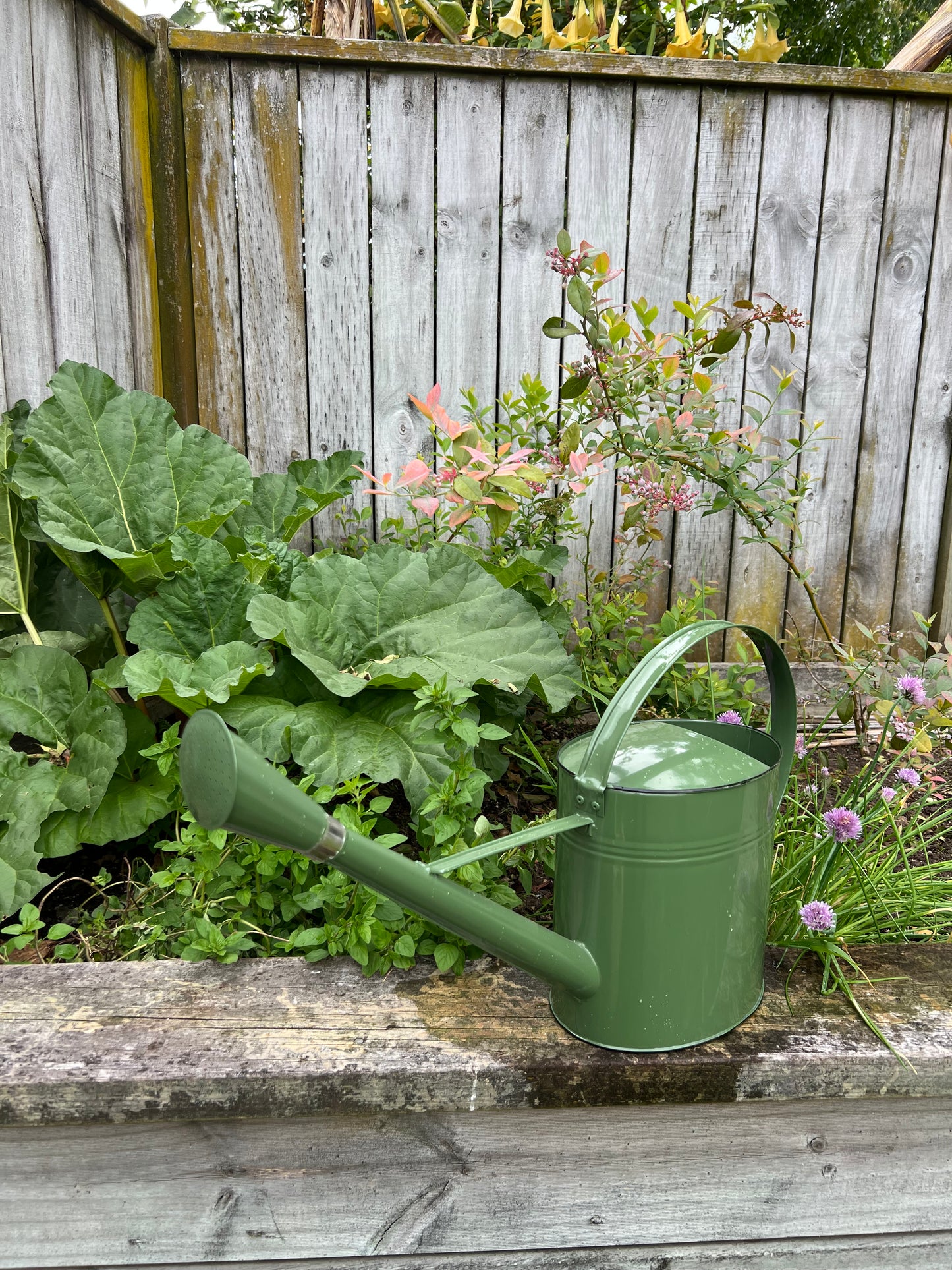 Outdoor Watering Can Forest