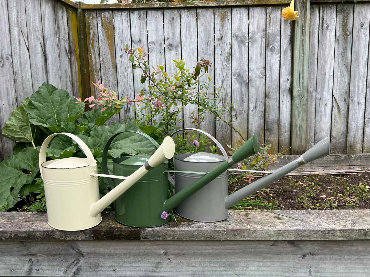 Outdoor Watering Can Cream