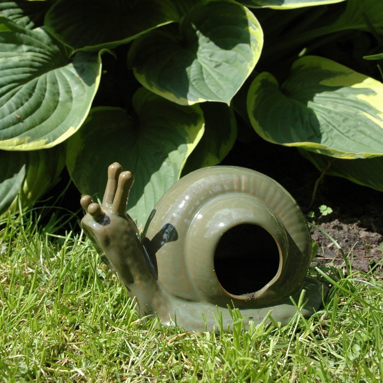 Snail Trap Green