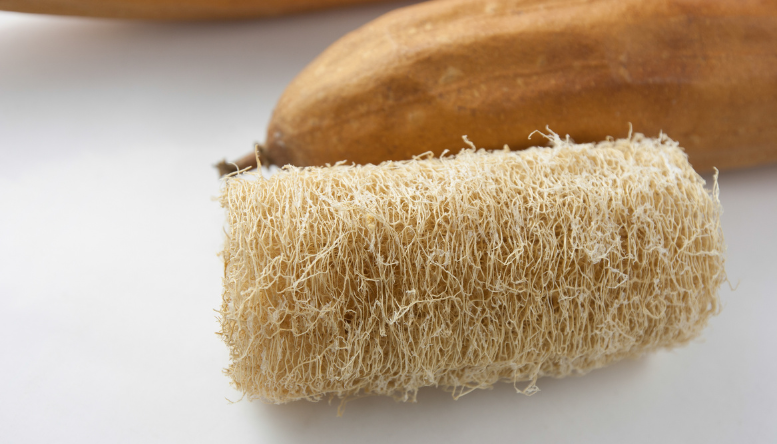 Loofah Scrub Sponge