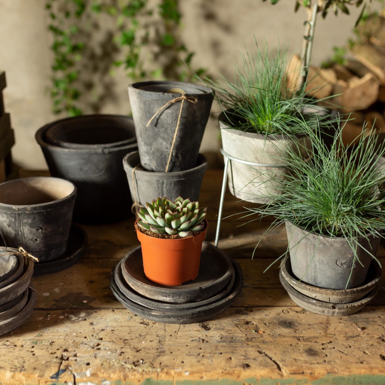 Terracotta Grey Pot Round Medium