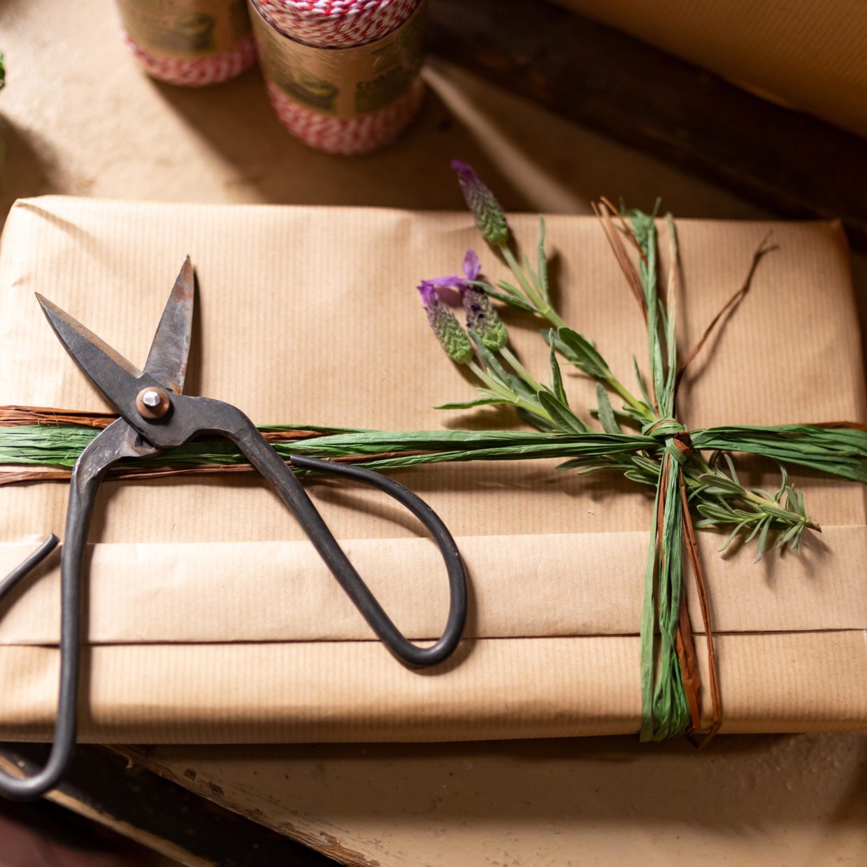 Bonsai Shears