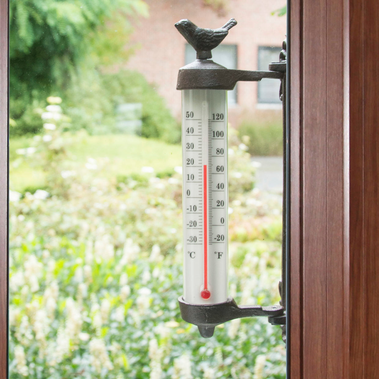 Cast Iron Wall Thermometer Bird