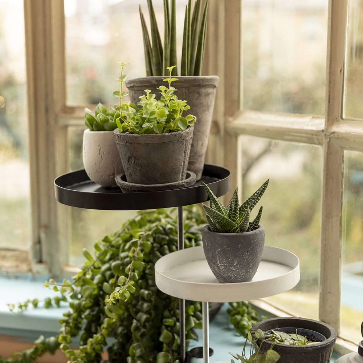Terracotta Grey Pot Small