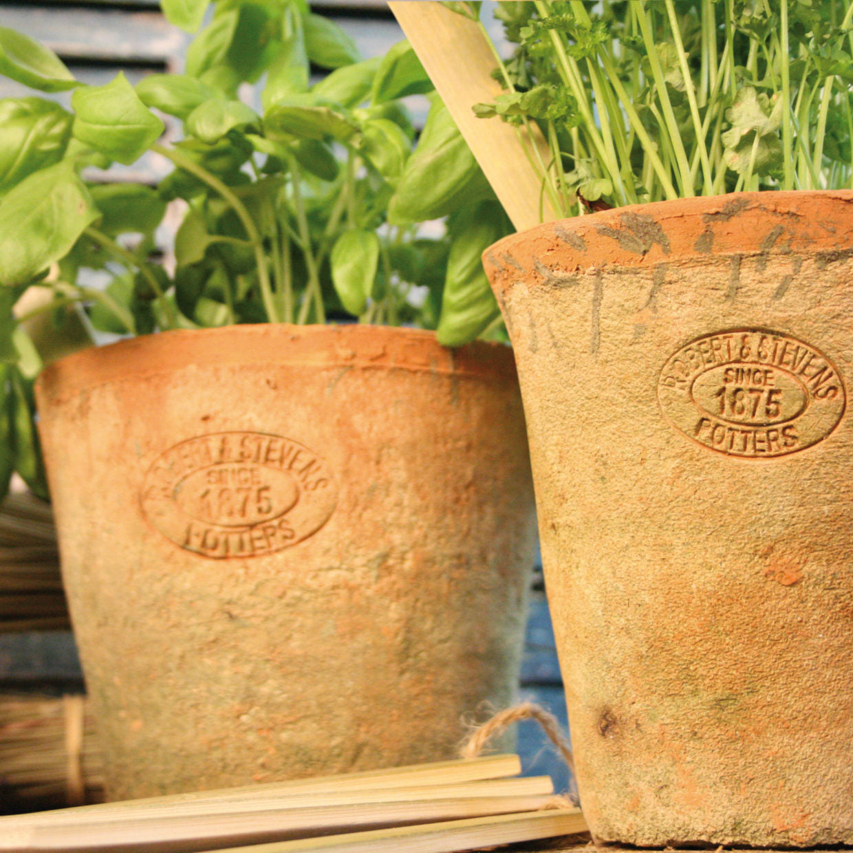 Terracotta Pot Round Small