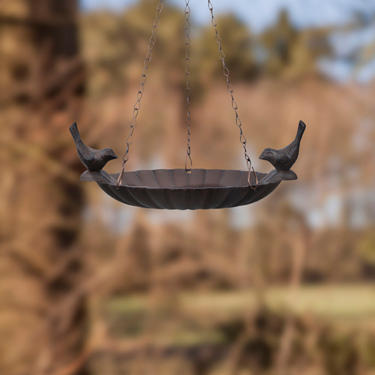 Bird Bath Hanging With Birds
