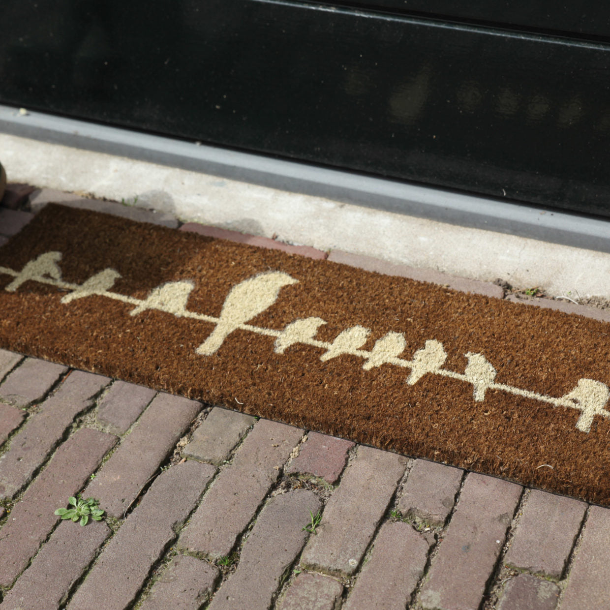 Doormat Birds On A Wire Dark
