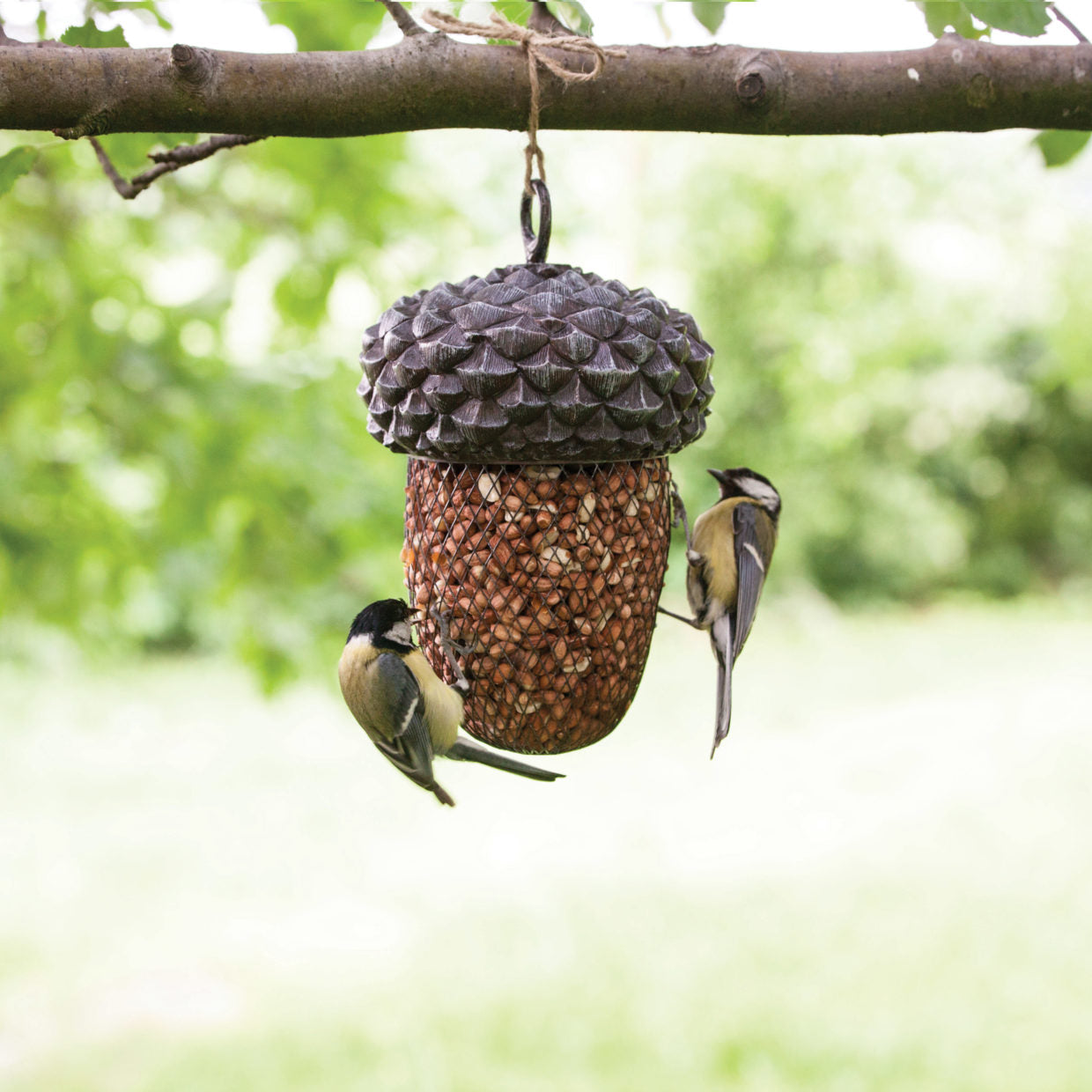 Bird Feeder Acorn