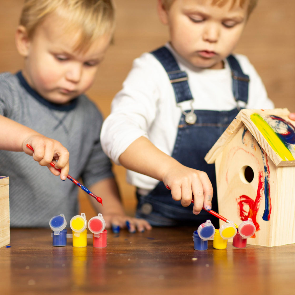 DIY Bird House with Paint
