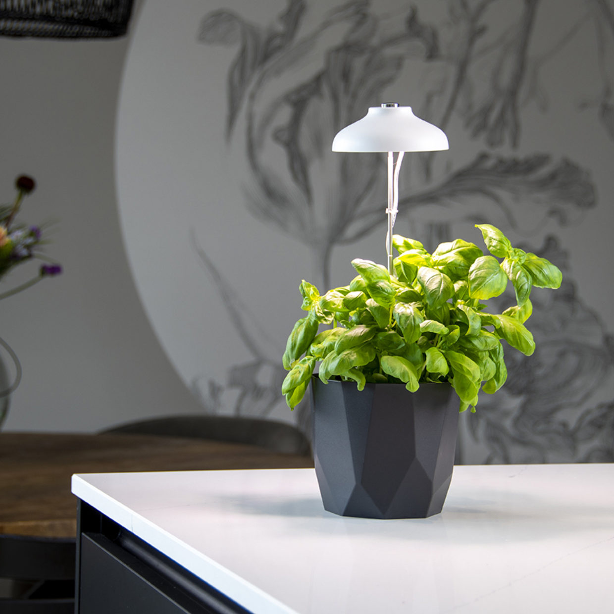 Plant Grow Lamp USB