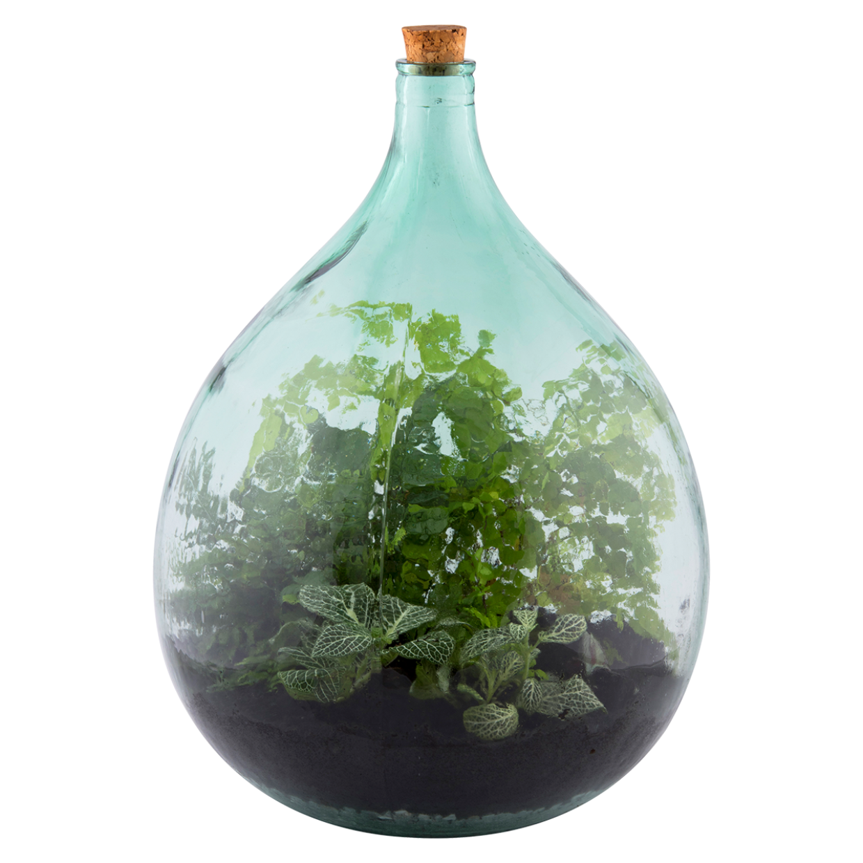 Terrarium Bottle 35L
